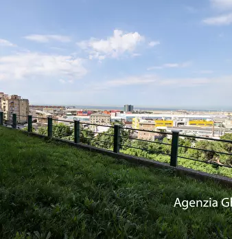 Foto annuncio 35