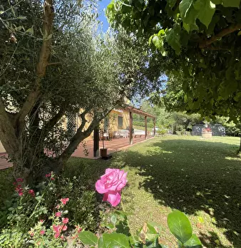 Foto annuncio 6