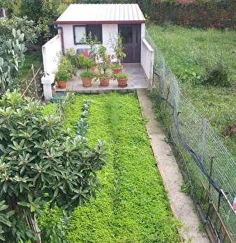 Foto annuncio 24