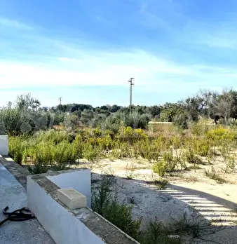 Foto annuncio 21