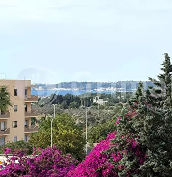 Foto annuncio 27