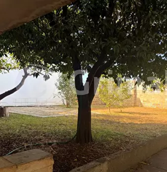 Foto annuncio 40