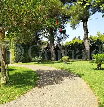 Foto annuncio 29