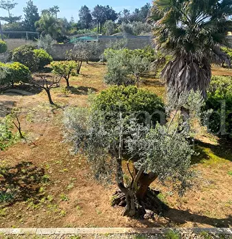 Foto annuncio 8