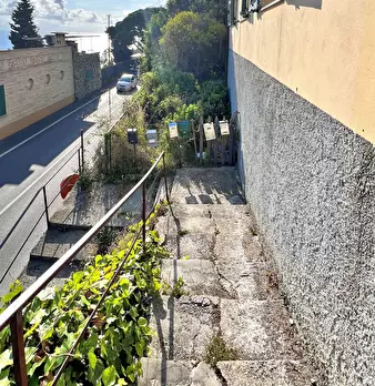 Foto annuncio 21