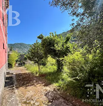 Foto annuncio 18