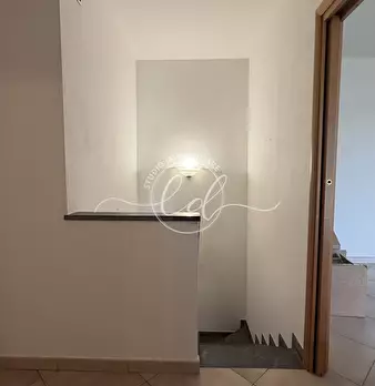 Foto annuncio 45