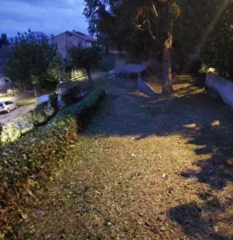 Foto annuncio 6
