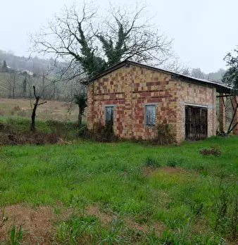 Foto annuncio 7