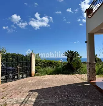 Foto annuncio 42