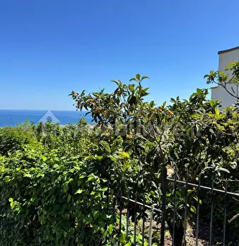 Foto annuncio 26