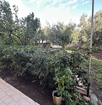 Foto annuncio 28