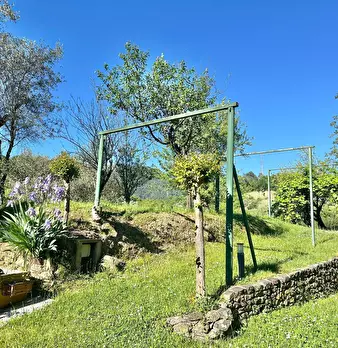 Foto annuncio 4