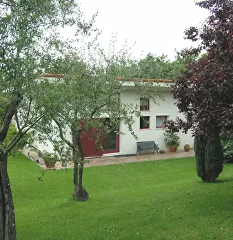 Foto annuncio 4