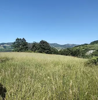 Foto annuncio 28