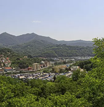 Foto annuncio 2