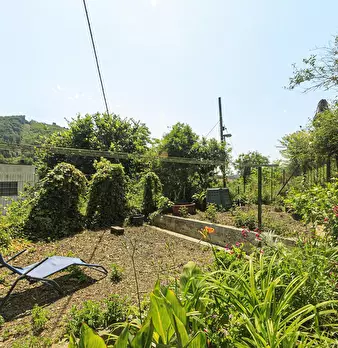 Foto annuncio 35