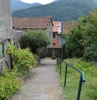 Foto annuncio 7