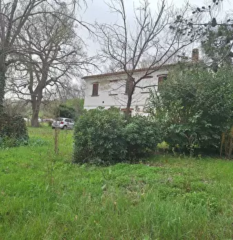 Foto annuncio 5