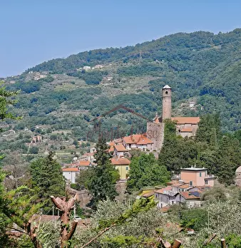Foto annuncio 40