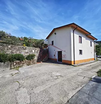 Foto annuncio 52