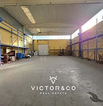 Foto annuncio 14