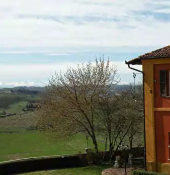 Foto annuncio 67