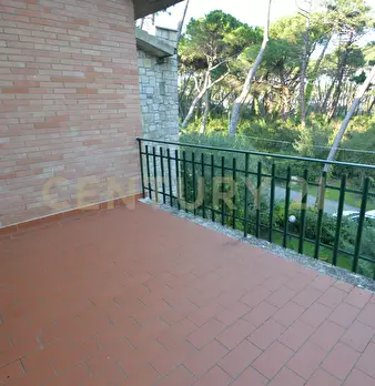 Foto annuncio 28
