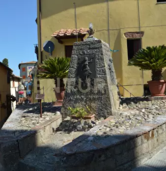 Foto annuncio 6