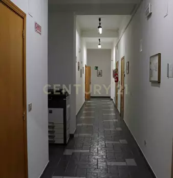 Foto annuncio 50