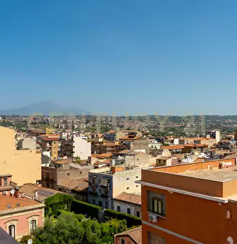 Foto annuncio 45