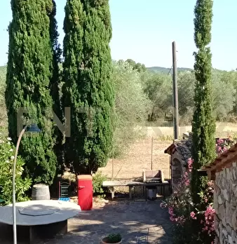 Foto annuncio 26