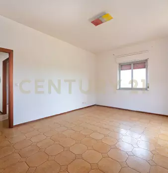 Foto annuncio 24