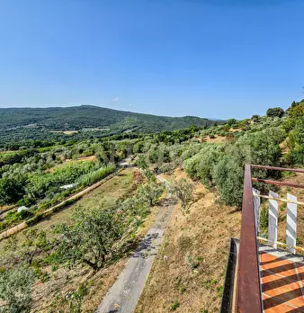 Foto annuncio 19