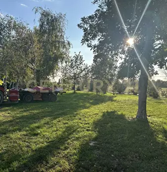 Foto annuncio 63