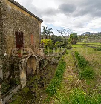 Foto annuncio 52