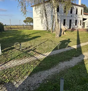 Foto annuncio 47