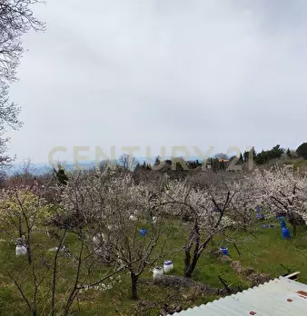 Foto annuncio 4