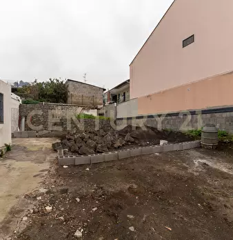 Foto annuncio 77