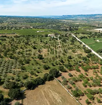 Foto annuncio 42