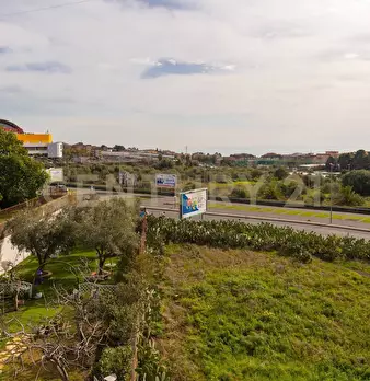 Foto annuncio 26