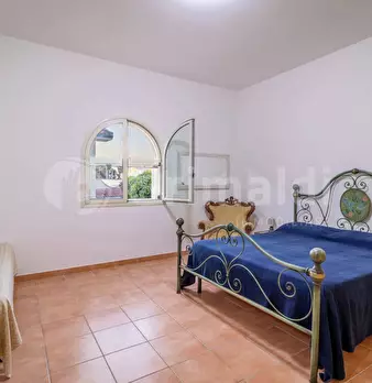 Foto annuncio 24
