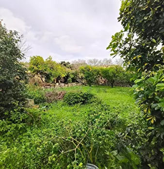 Foto annuncio 5