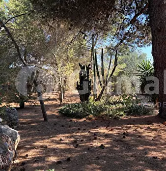 Foto annuncio 10