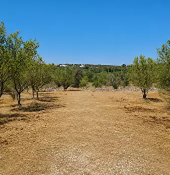 Foto annuncio 4