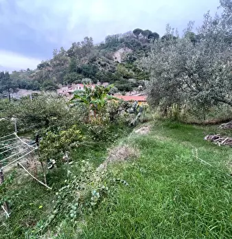 Foto annuncio 38