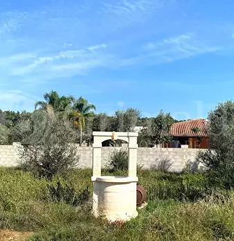 Foto annuncio 19