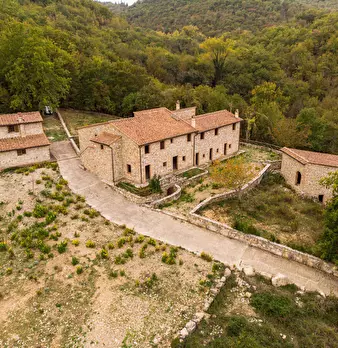 Foto annuncio 18