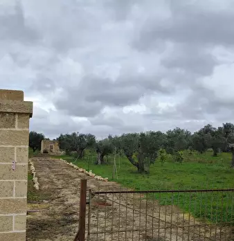 Foto annuncio 3