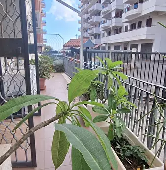 Foto annuncio 27